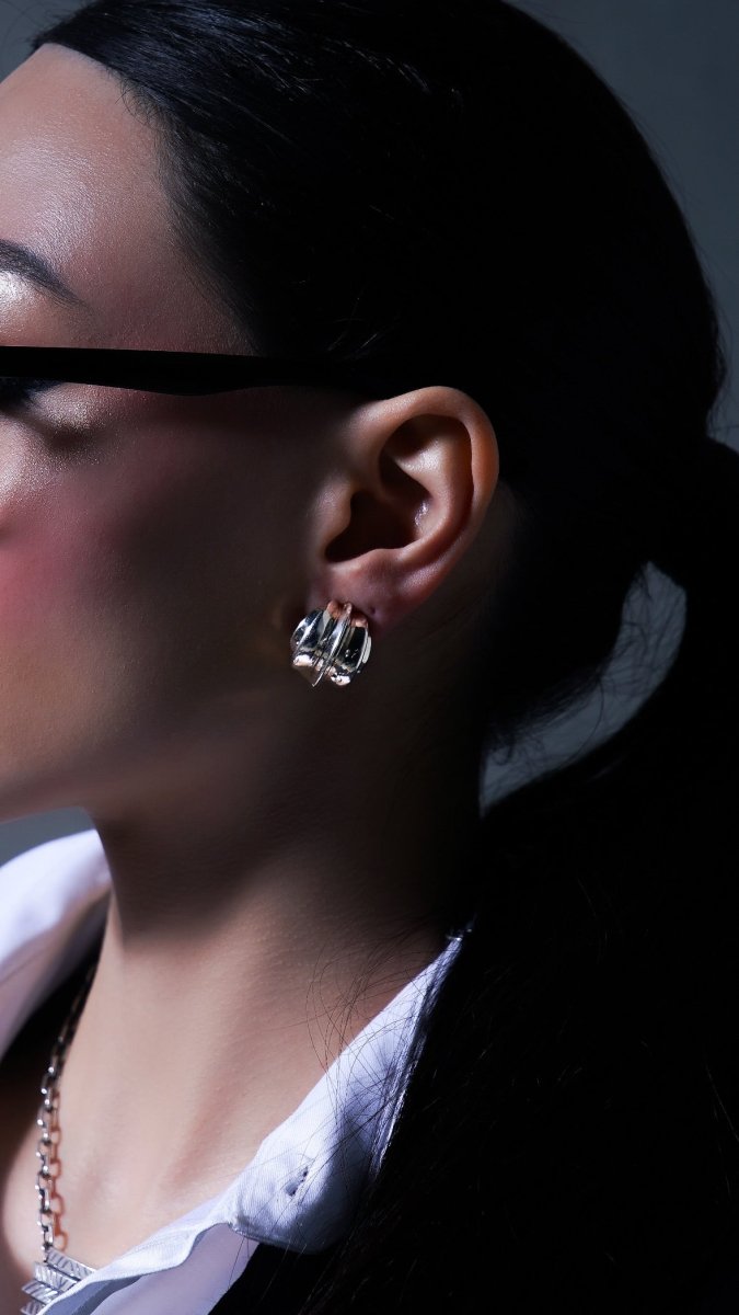 Earrings "Tuesday" - Pregomesh