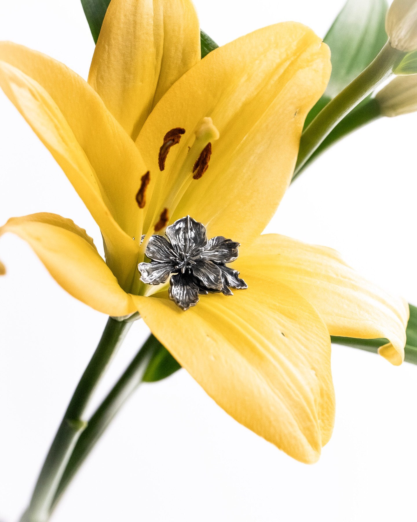 Earrings “Blooming Shushan”
