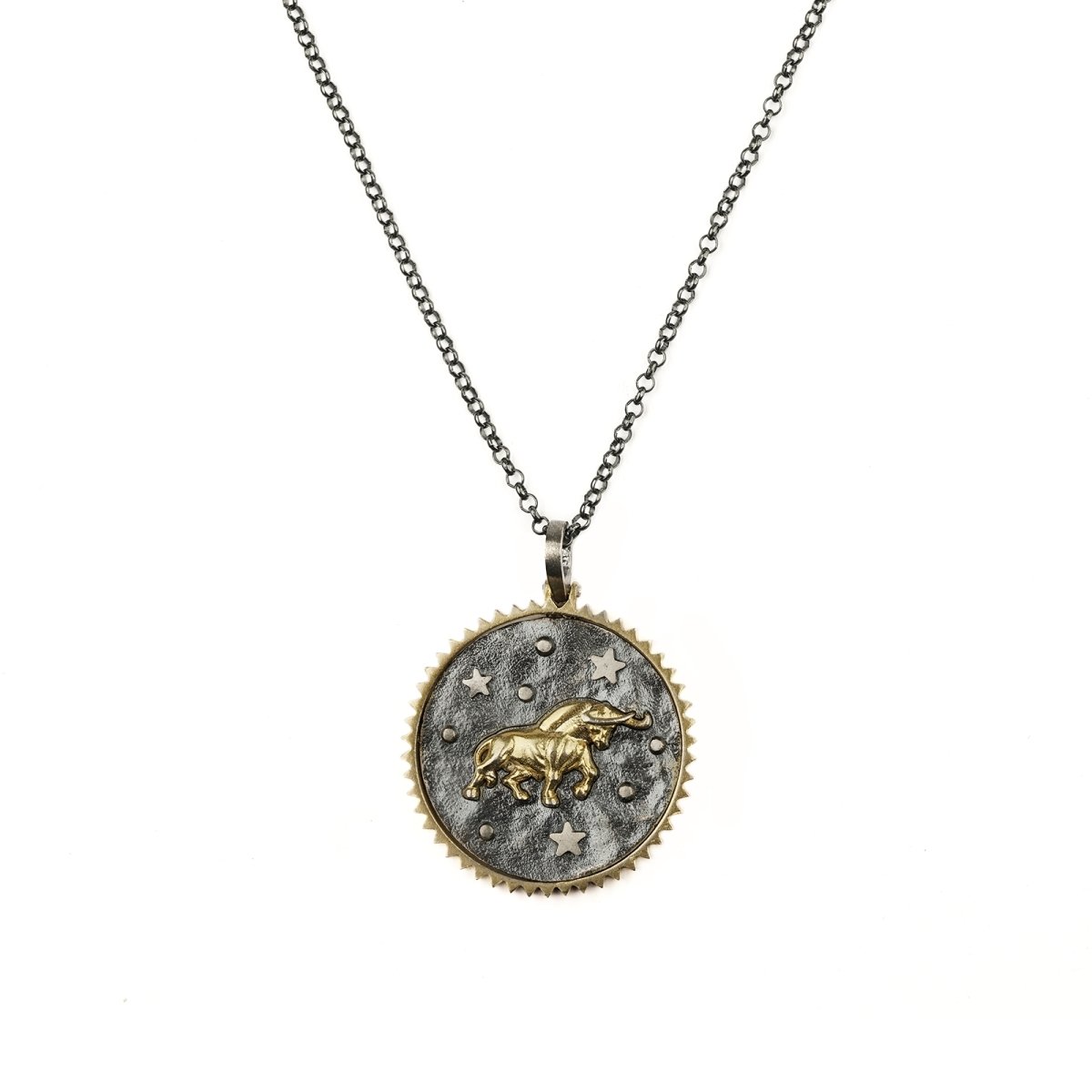 Zodiac Necklace 